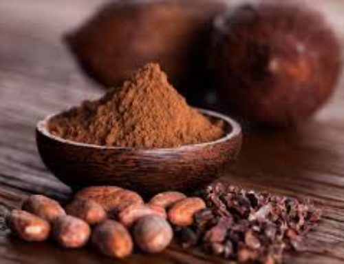 IL MASSAGGIO AL CACAO CHE RISVEGLIA I SENSI